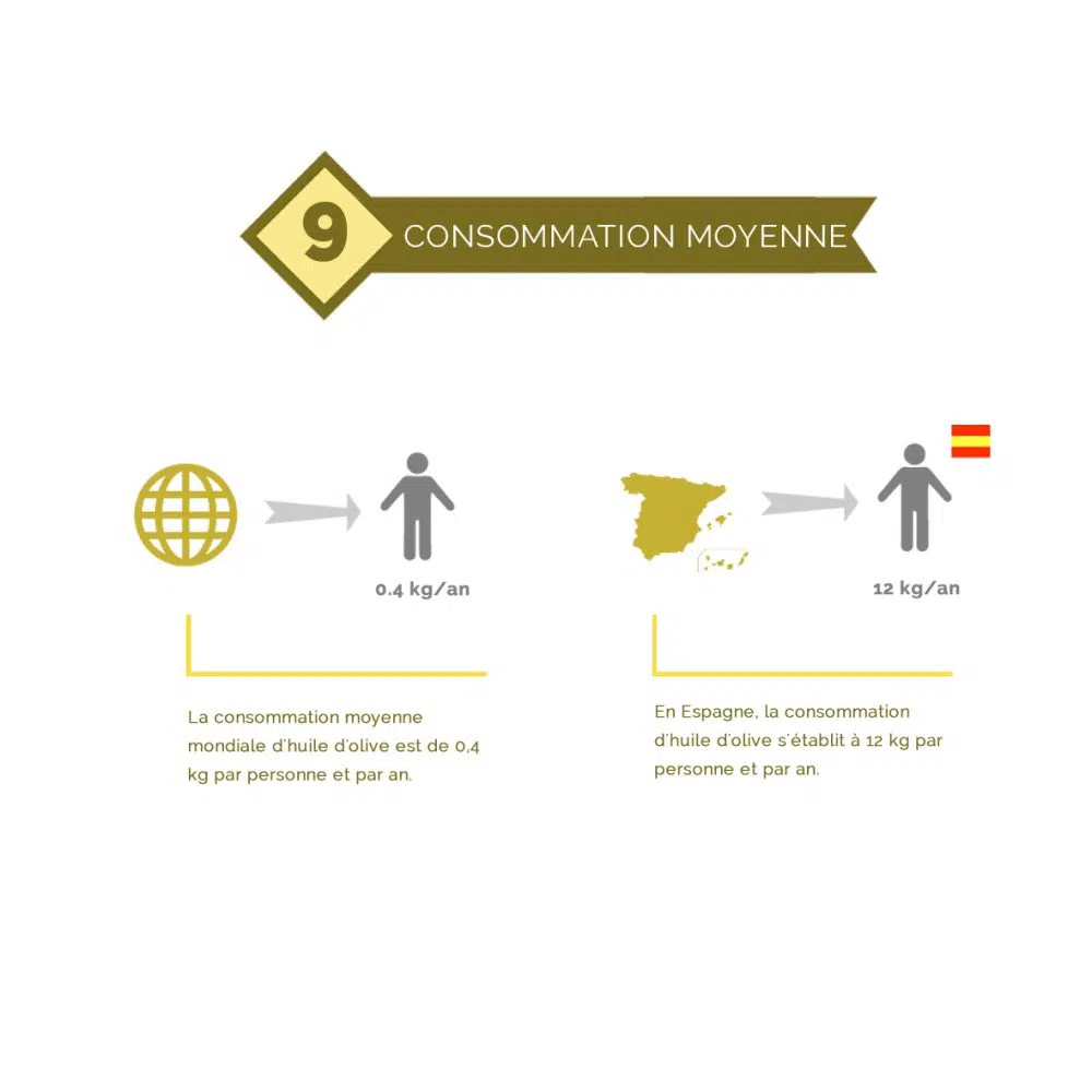 10 – Processus d’elaboration